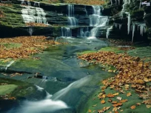 Starved Rock State Park