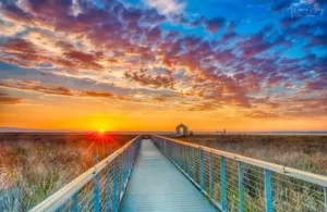 Alviso Marina County Park