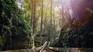 Beartown State Park