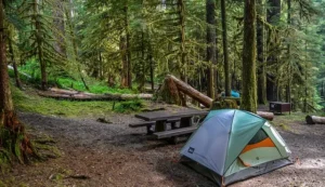 Best Places to Camp Near Seattle
