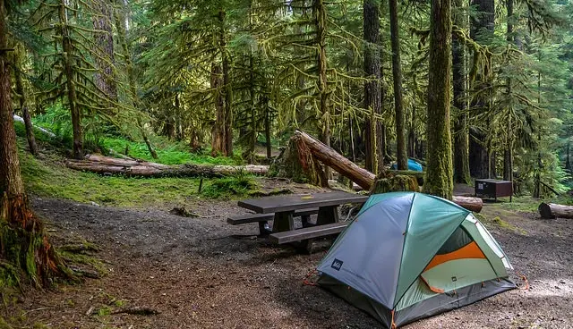 Best Places to Camp Near Seattle