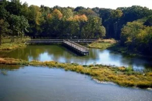 Cooper Lake State Park
