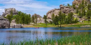 Custer State Park