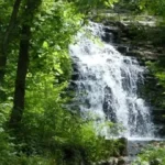 France Park: The Ultimate Guide to Camping, Cabins, Fishing & Outdoor Fun