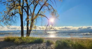 Kohler-Andrae State Park