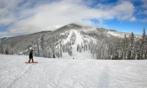 Mt. Shasta Ski Park