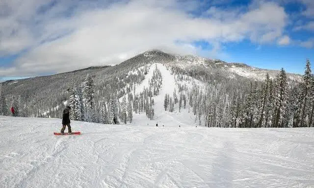 Mt. Shasta Ski Park