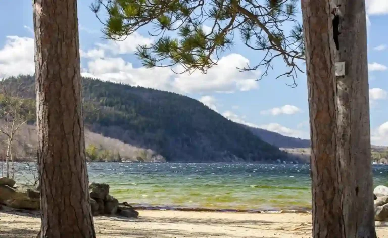 Wellington State Park
