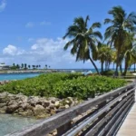 DuBois Park: The Ultimate Guide to Jupiter’s Hidden Beach Paradise