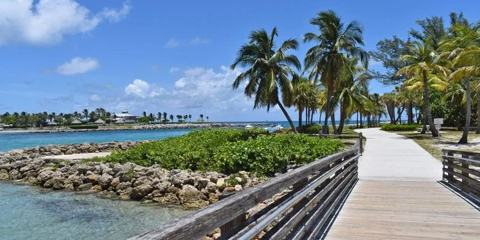 dubois park