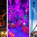 Indoor Things to Do in Houston: 25 Fun Places to Visit