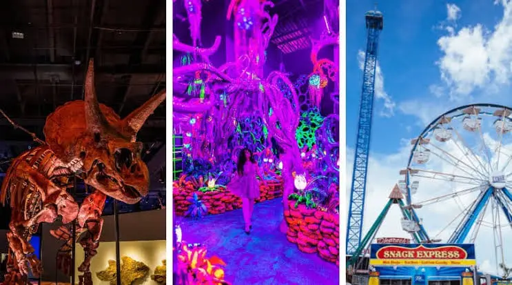 indoor things to do in Houston