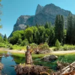Sequoia National Park: The Ultimate Guide to California’s Giant Trees