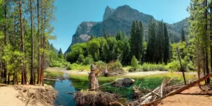 sequoia national park
