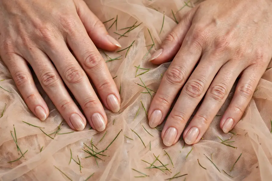 Evergreen nails with pine needle confetti art on real hands